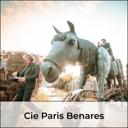 Compagnies7