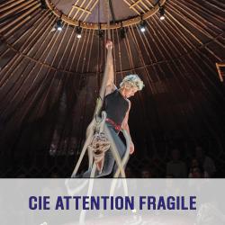 Compagniescarre 35