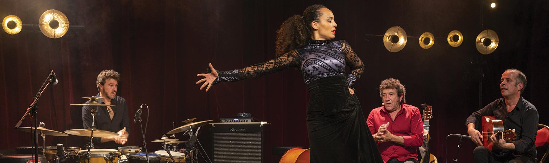 Flamenco Vivo